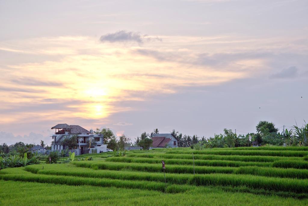 Paddy View Villa Kuta Lombok Exteriör bild