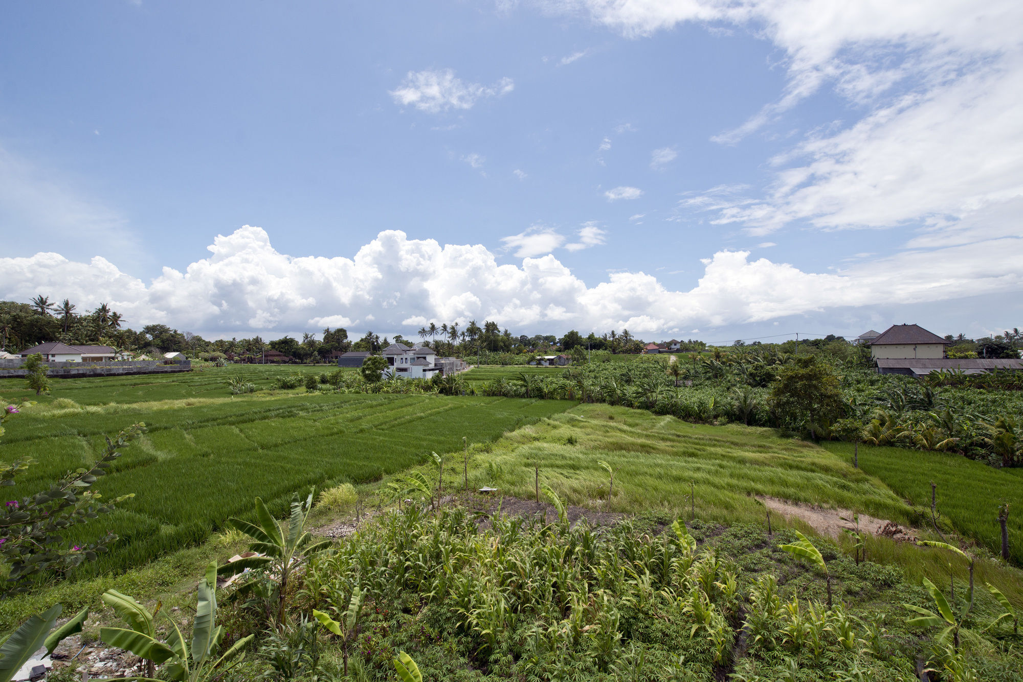 Paddy View Villa Kuta Lombok Exteriör bild